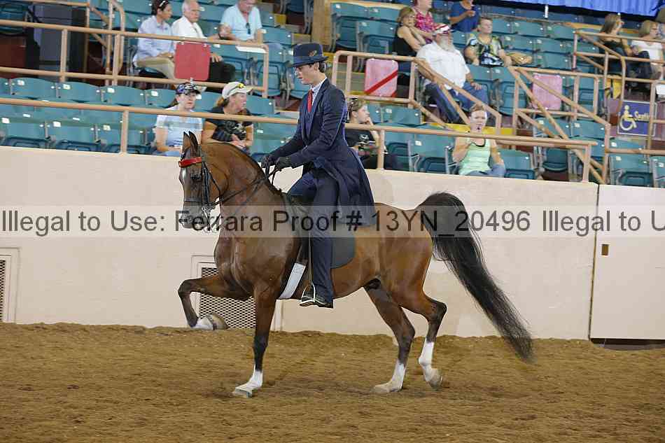 Proof 13yn_20496