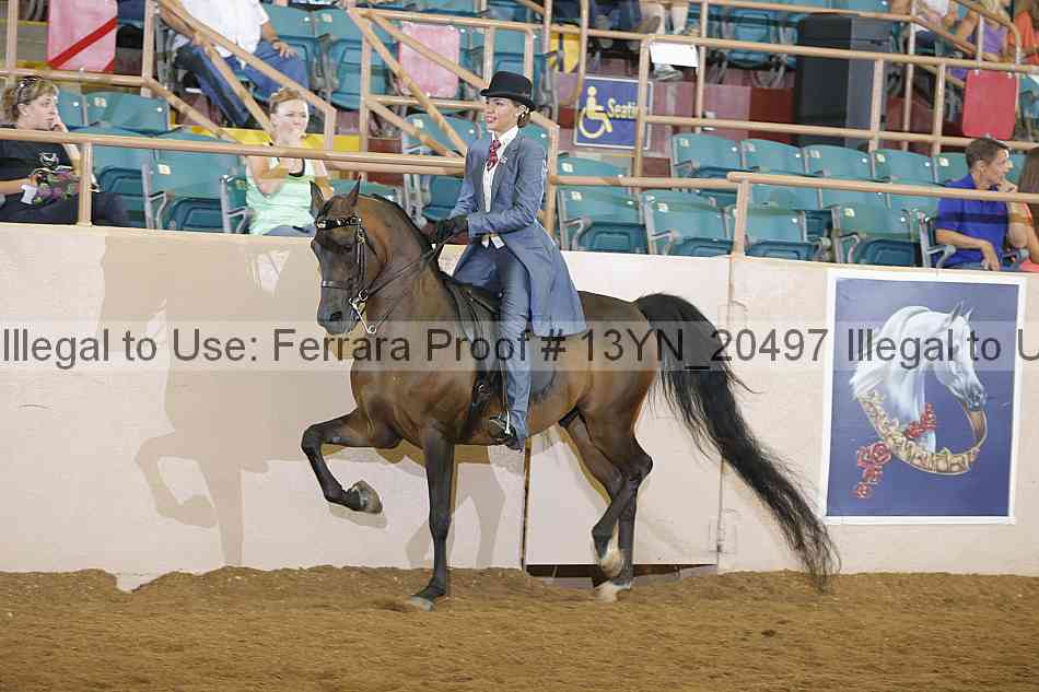 Proof 13yn_20497