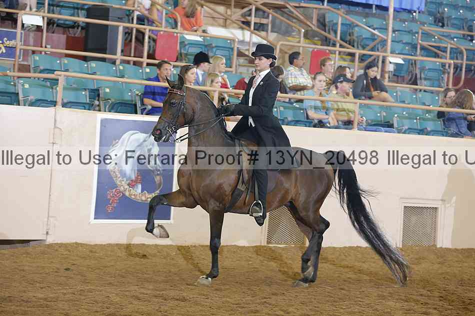 Proof 13yn_20498