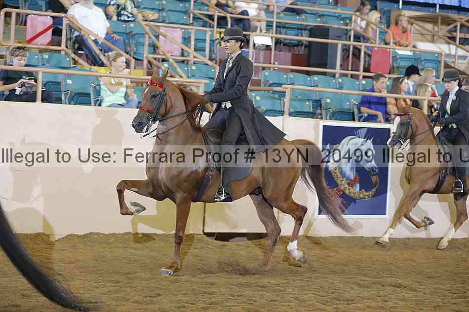 Proof 13yn_20499
