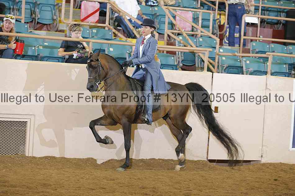 Proof 13yn_20505