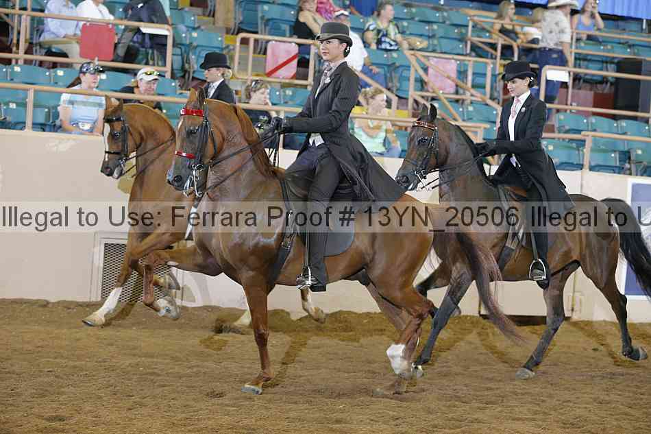 Proof 13yn_20506