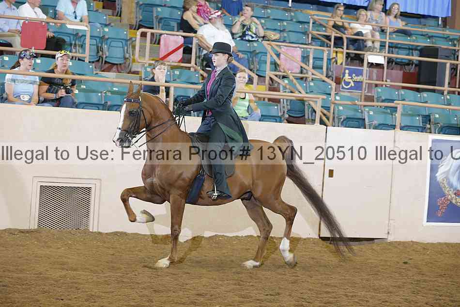 Proof 13yn_20510