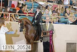 13yn_20524 proof