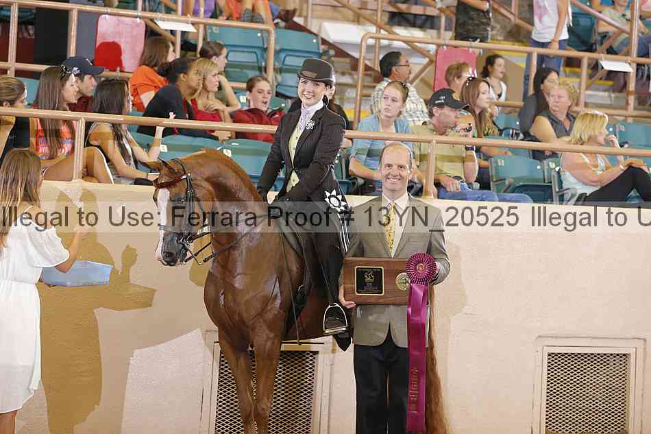 Proof 13yn_20525