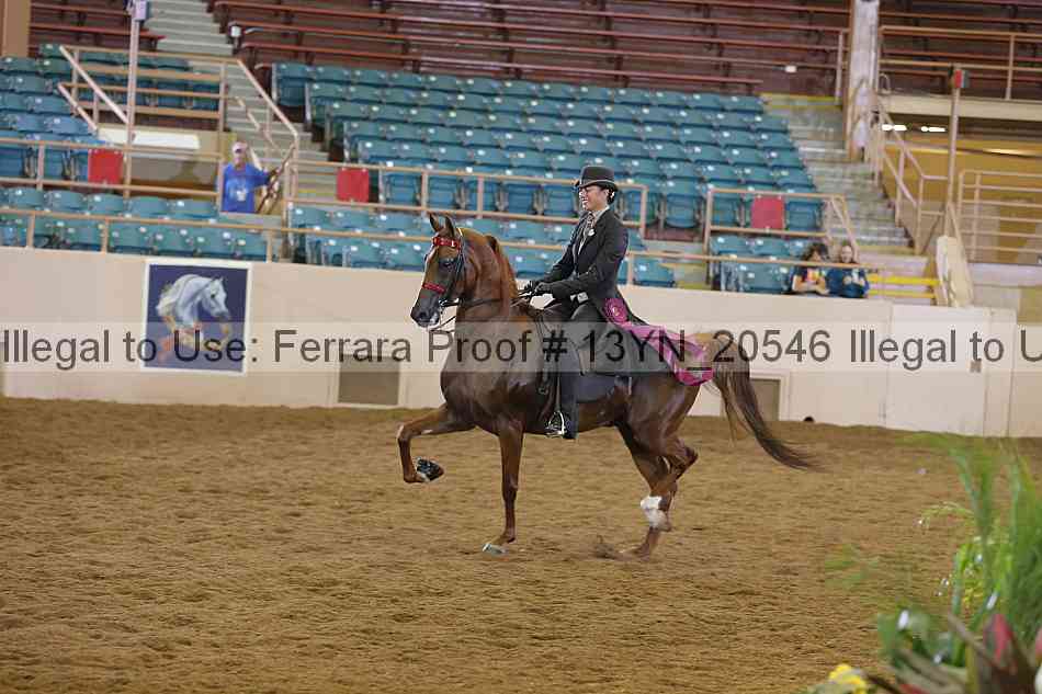 Proof 13yn_20546