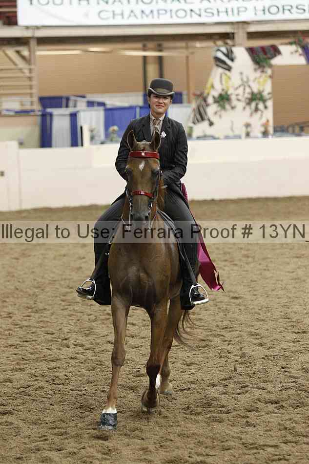 Proof 13yn_20548