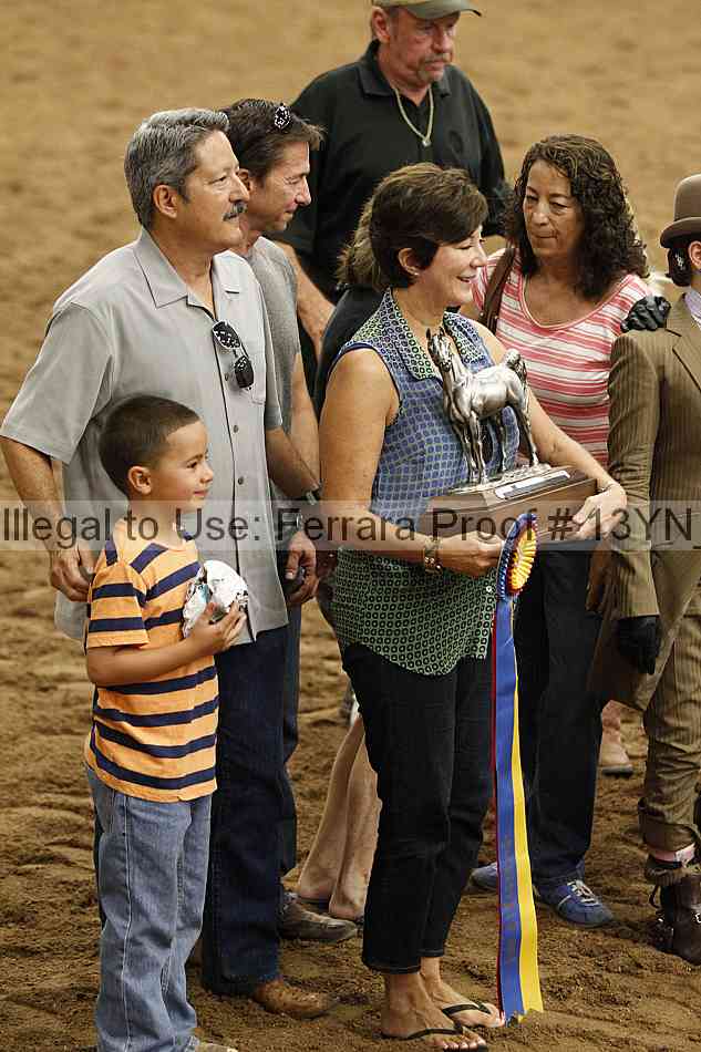 Proof 13yn_20559