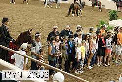 13yn_20562 proof