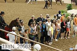 13yn_20563 proof