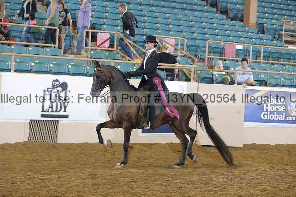 Proof 13yn_20564