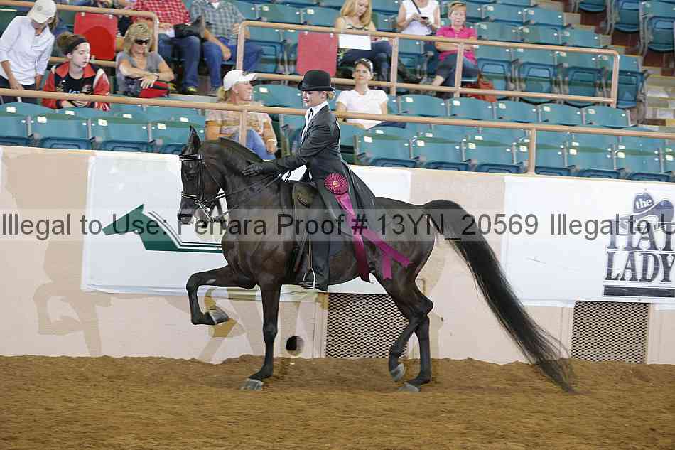 Proof 13yn_20569