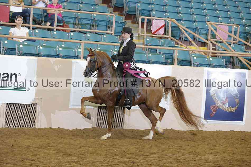 Proof 13yn_20582