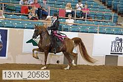 13yn_20583 proof
