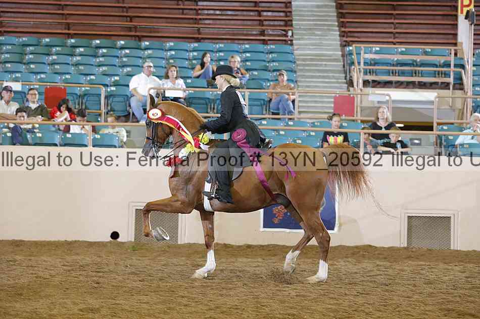 Proof 13yn_20592