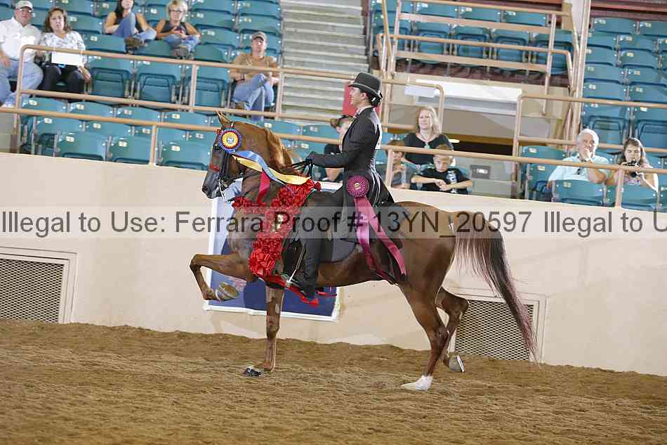 Proof 13yn_20597