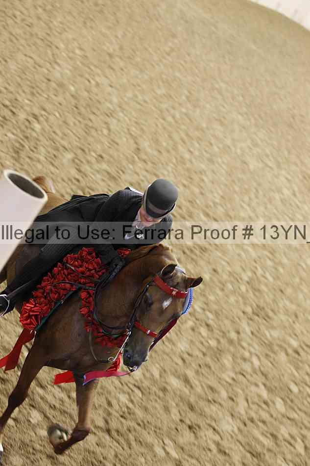 Proof 13yn_20601