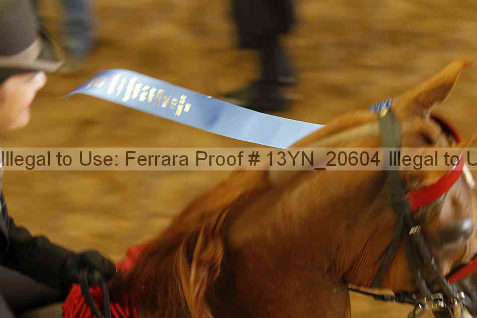 Proof 13yn_20604