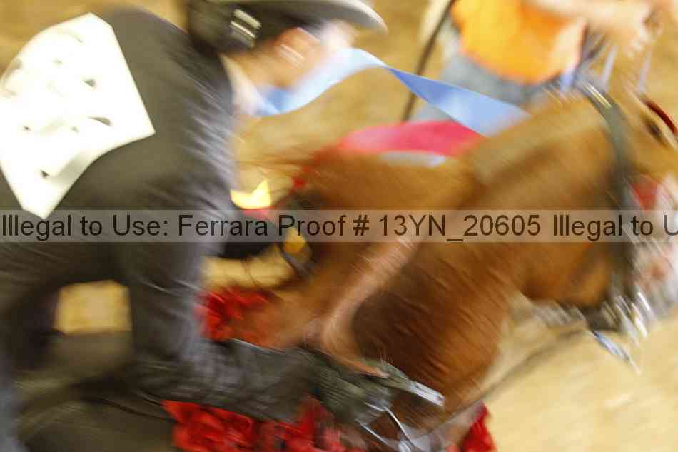 Proof 13yn_20605