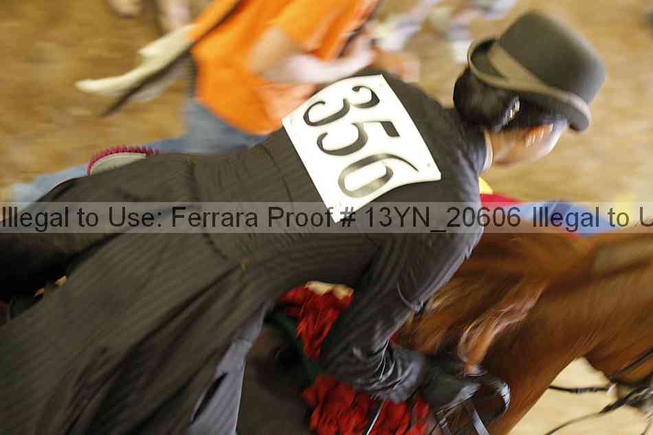 Proof 13yn_20606