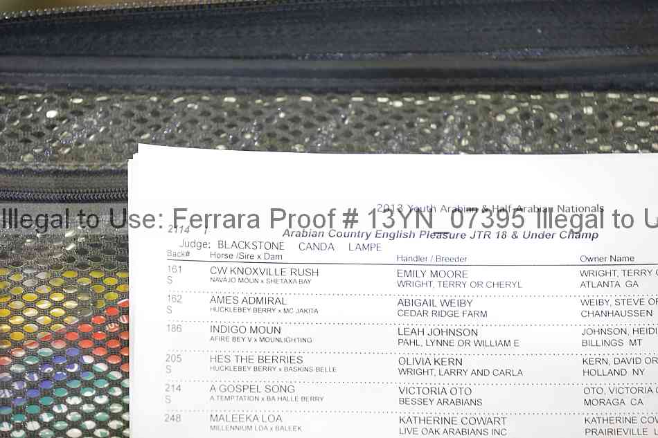 Proof 13yn_07395