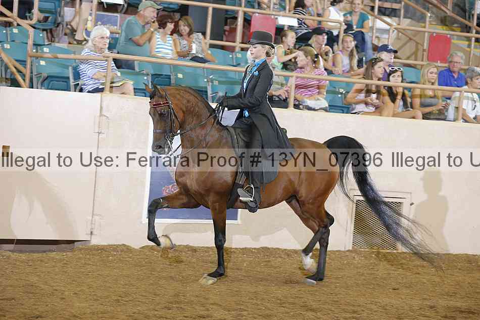 Proof 13yn_07396