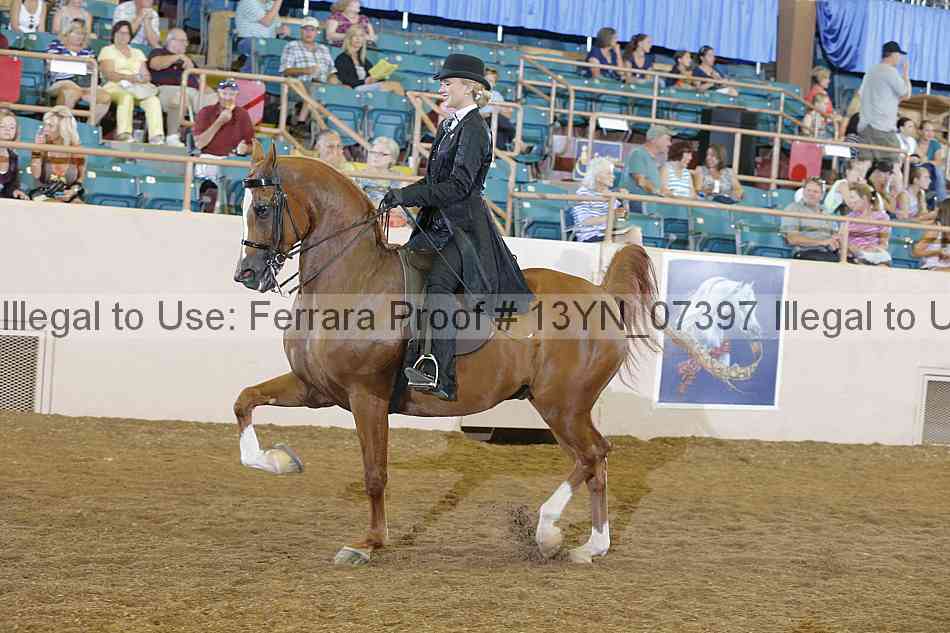 Proof 13yn_07397