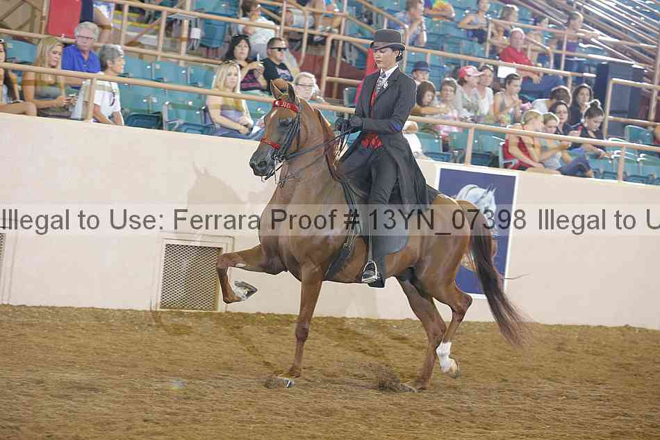 Proof 13yn_07398