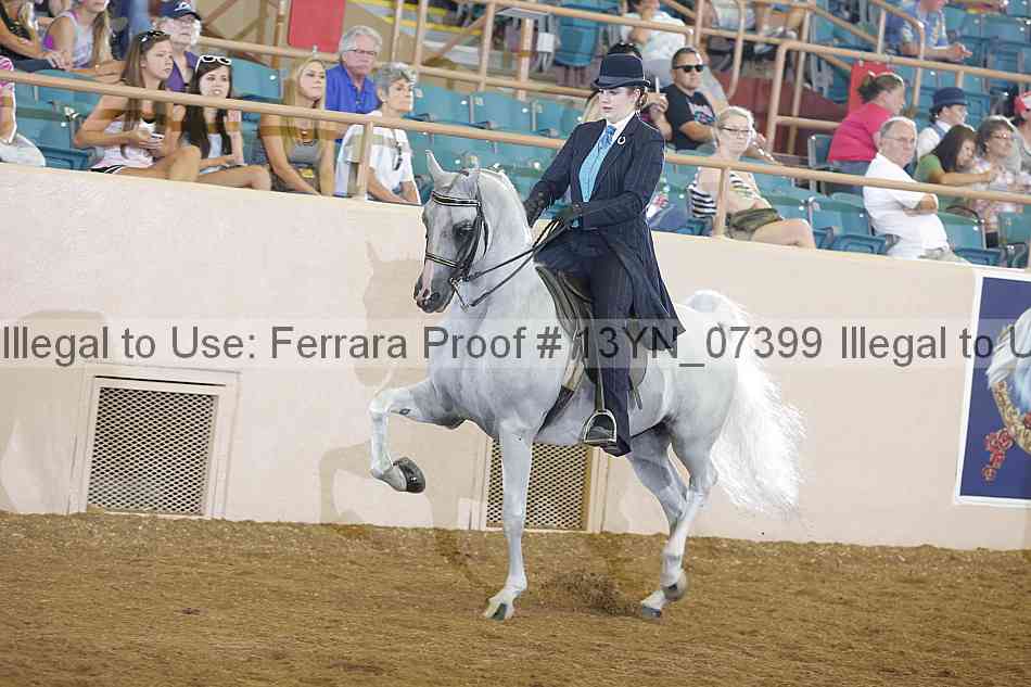 Proof 13yn_07399
