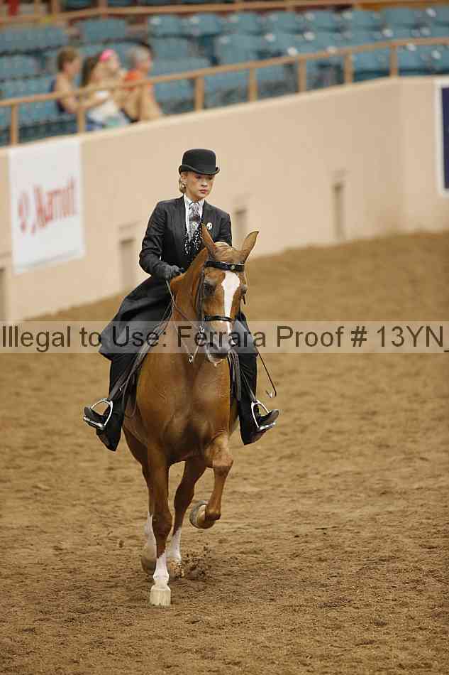 Proof 13yn_07401