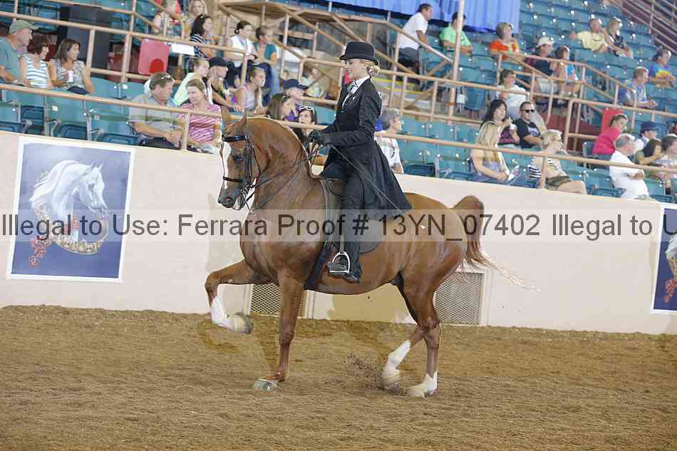 Proof 13yn_07402