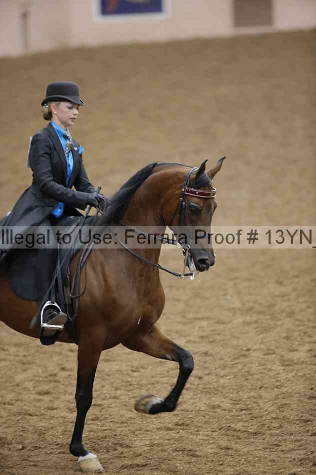 Proof 13yn_07403