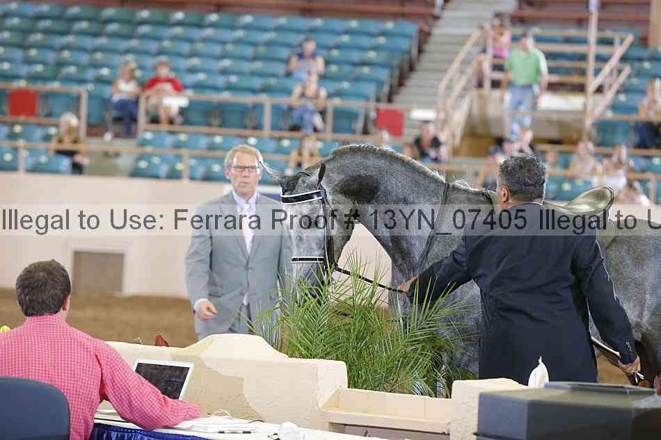 Proof 13yn_07405