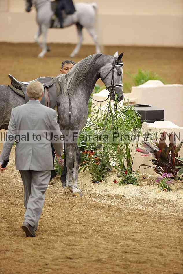 Proof 13yn_07407