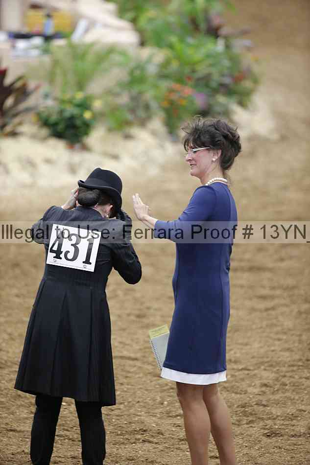 Proof 13yn_07408