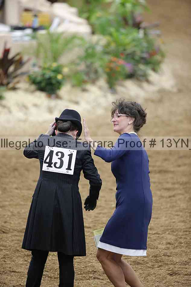 Proof 13yn_07409