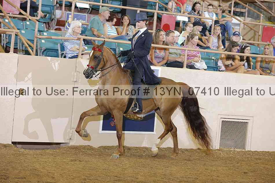Proof 13yn_07410