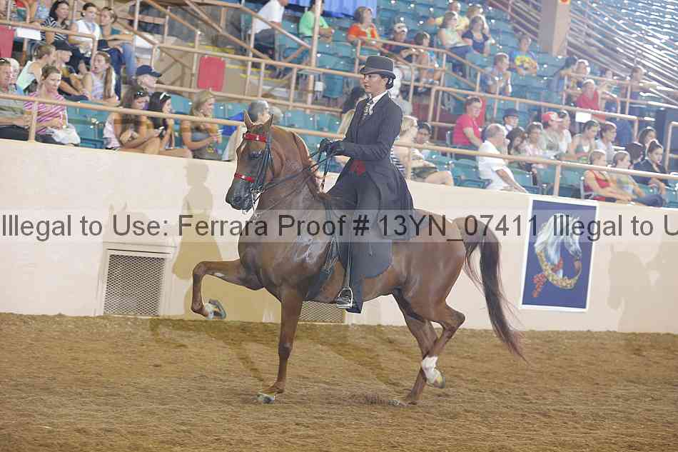 Proof 13yn_07411