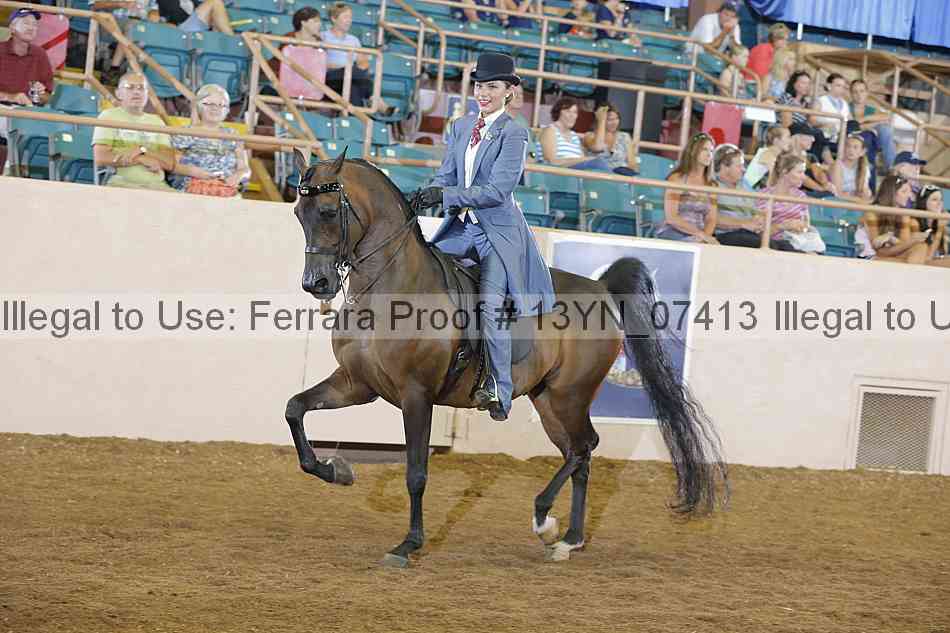 Proof 13yn_07413