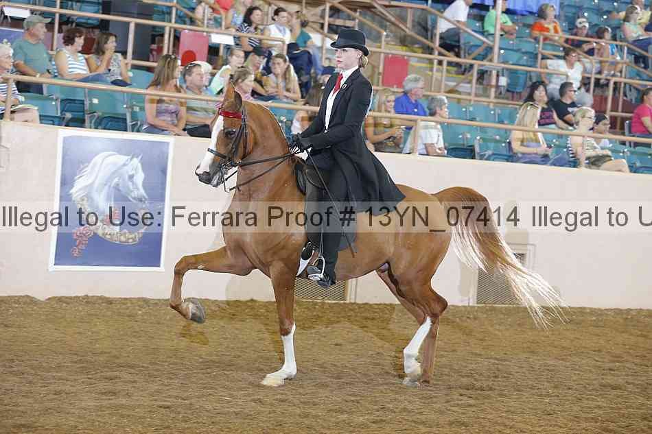Proof 13yn_07414