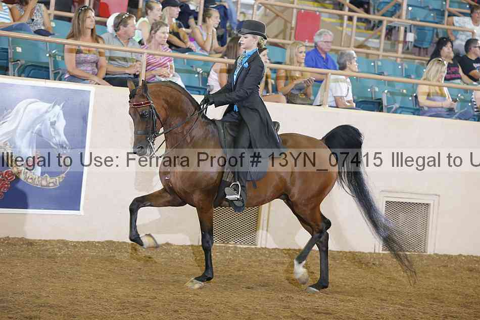 Proof 13yn_07415