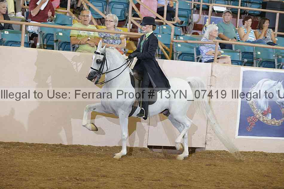 Proof 13yn_07419