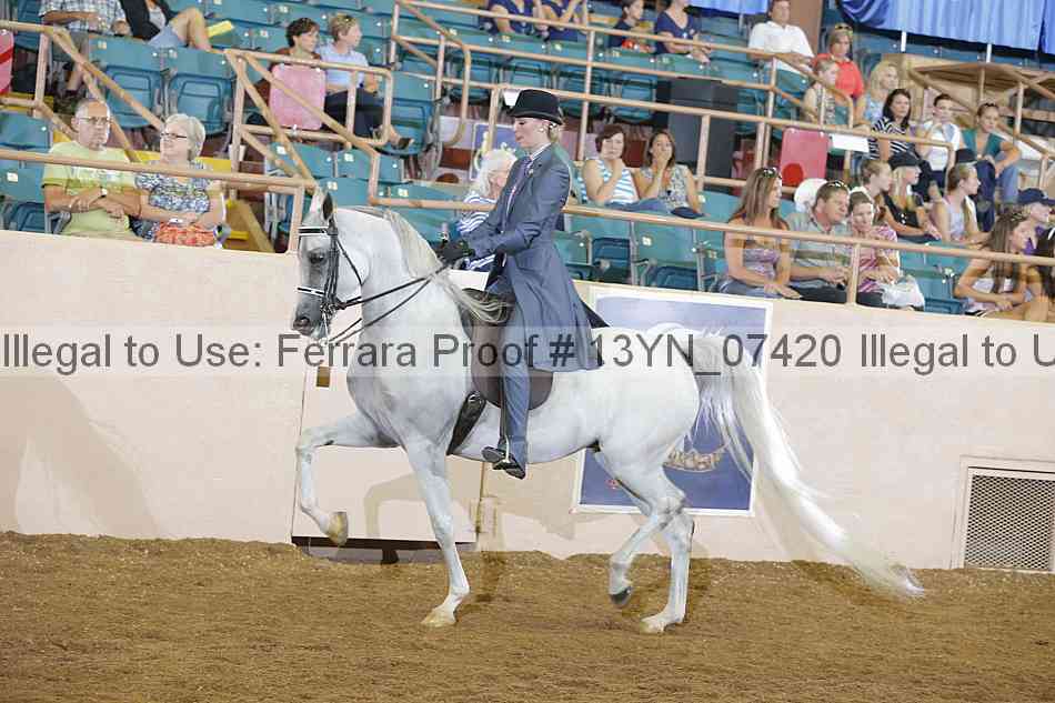 Proof 13yn_07420