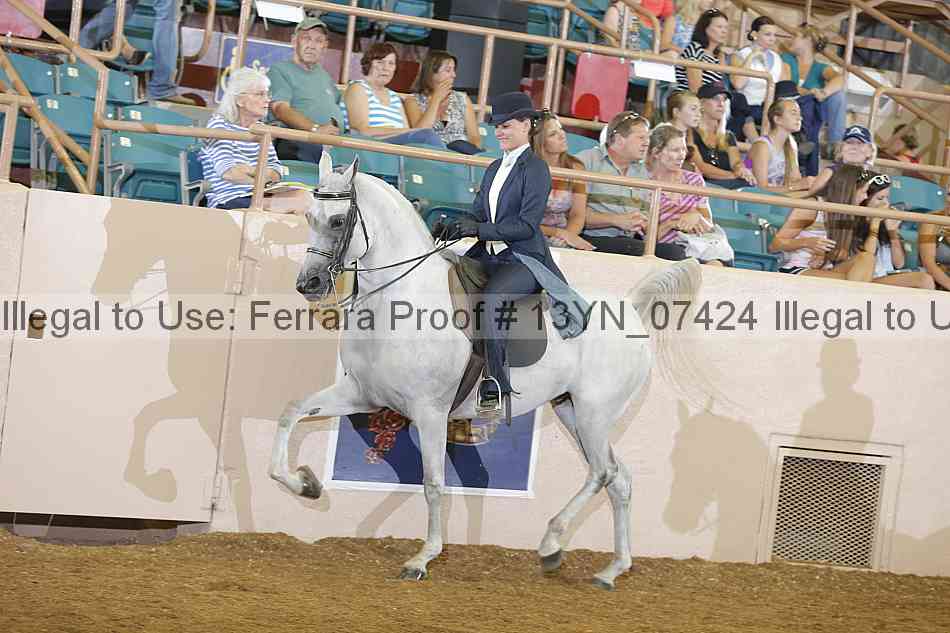 Proof 13yn_07424