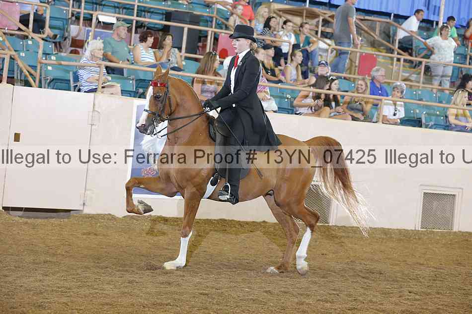 Proof 13yn_07425