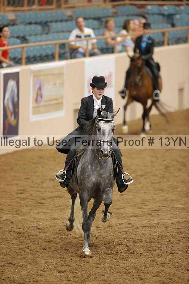 Proof 13yn_07426