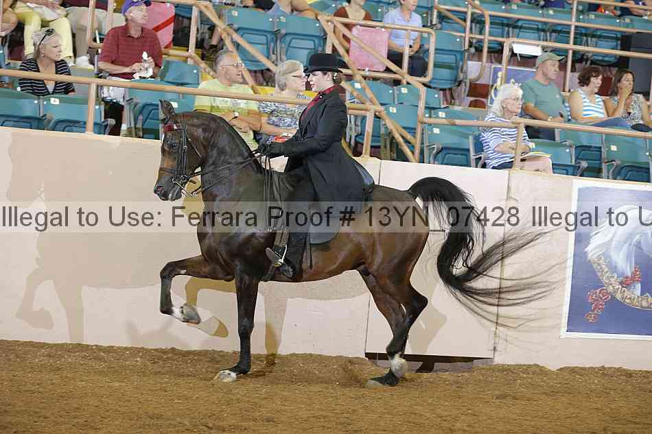 Proof 13yn_07428