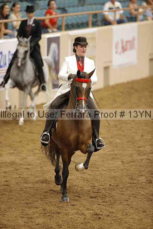 Proof 13yn_07429