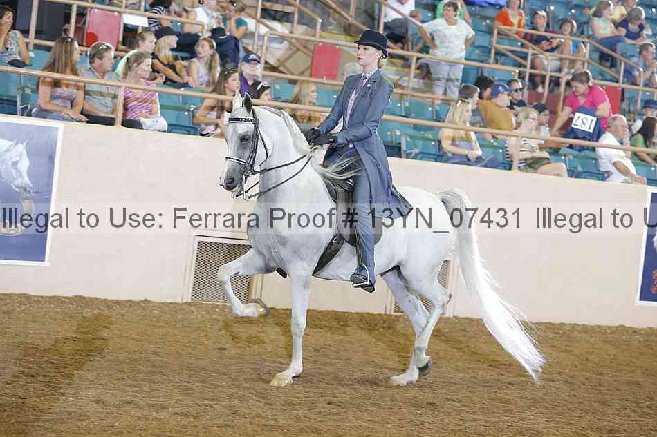 Proof 13yn_07431