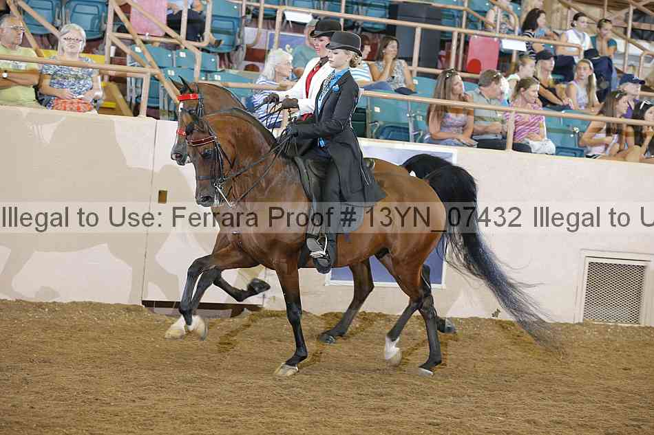 Proof 13yn_07432